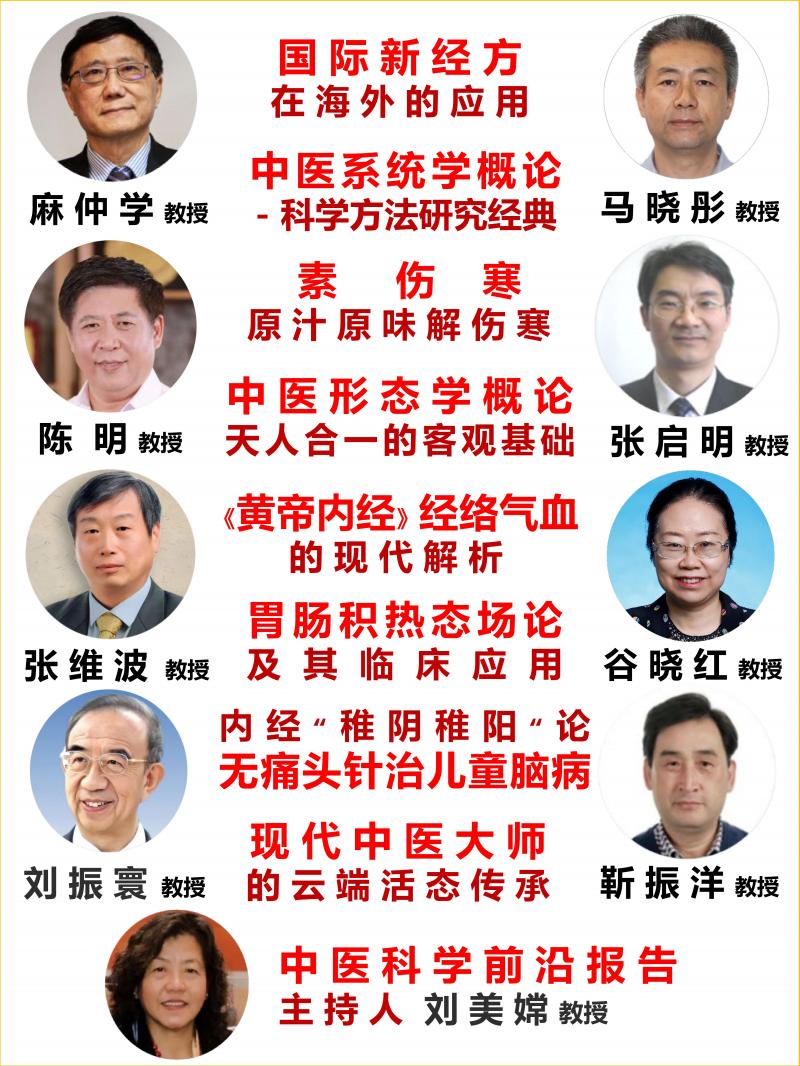 世界中医药大学-中医科学前沿报告-VI_02.jpg